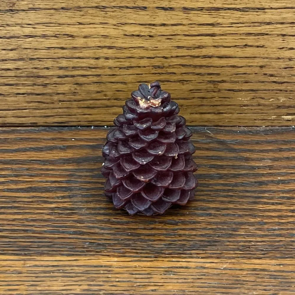 New Smith & Hawken Pine Cone Candle